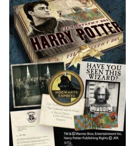 Replica The Noble Collection Harry Potter Caja De Artefactos