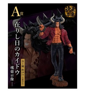 Ichiban Kuji Banpresto One Piece Ex Loyalty To Thunderbolt Lote 80 Articulos