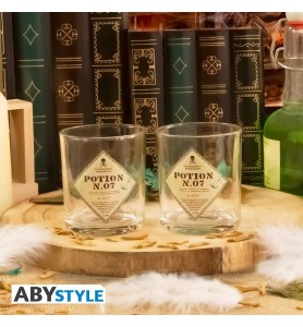 Set De Botellas Y Vasos Harry Potter Poción