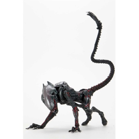 Figura Neca Night Cougar Alien Scale Action Figure Aliens Kenner Tribute 23 Cm