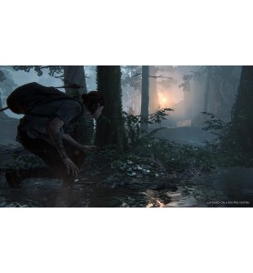 Juego PS4 -  The Last Of Us Part Ii