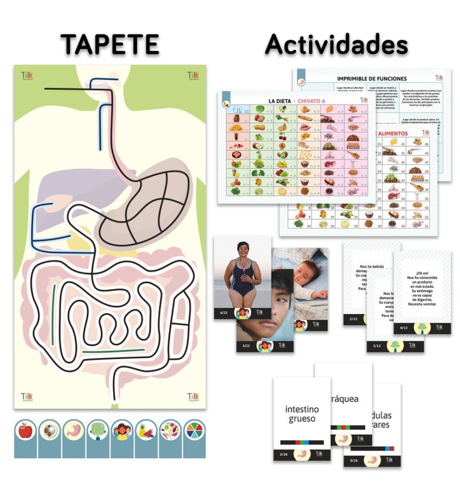 Pack Aparato Digestivo Tilk Ozobot Tapete + Actividades