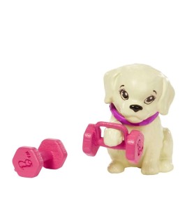 Muñeca Barbie Mattel Conjunto Entrenamiento Y Cachorrito