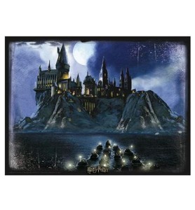 Puzzle 3d Lenticular Harry Potter Hogwarts 500 Piezas