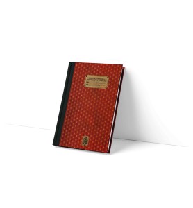 Libreta Sd Toys Harry Potter Gryffindor 1910