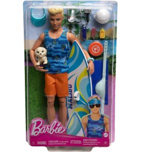 Muñeco Barbie Mattel Ken Tabla De Surf